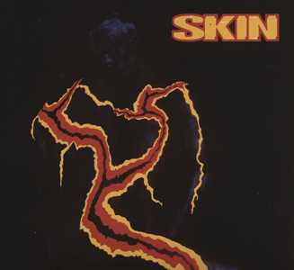 CD Collector Digipack Skin
