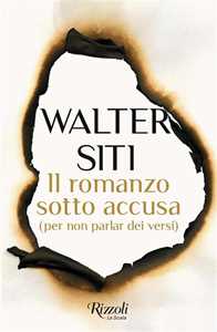 Libro Il romanzo sotto accusa. (per non parlar dei versi) Walter Siti