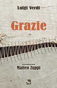 Libro Grazie Luigi Verdi